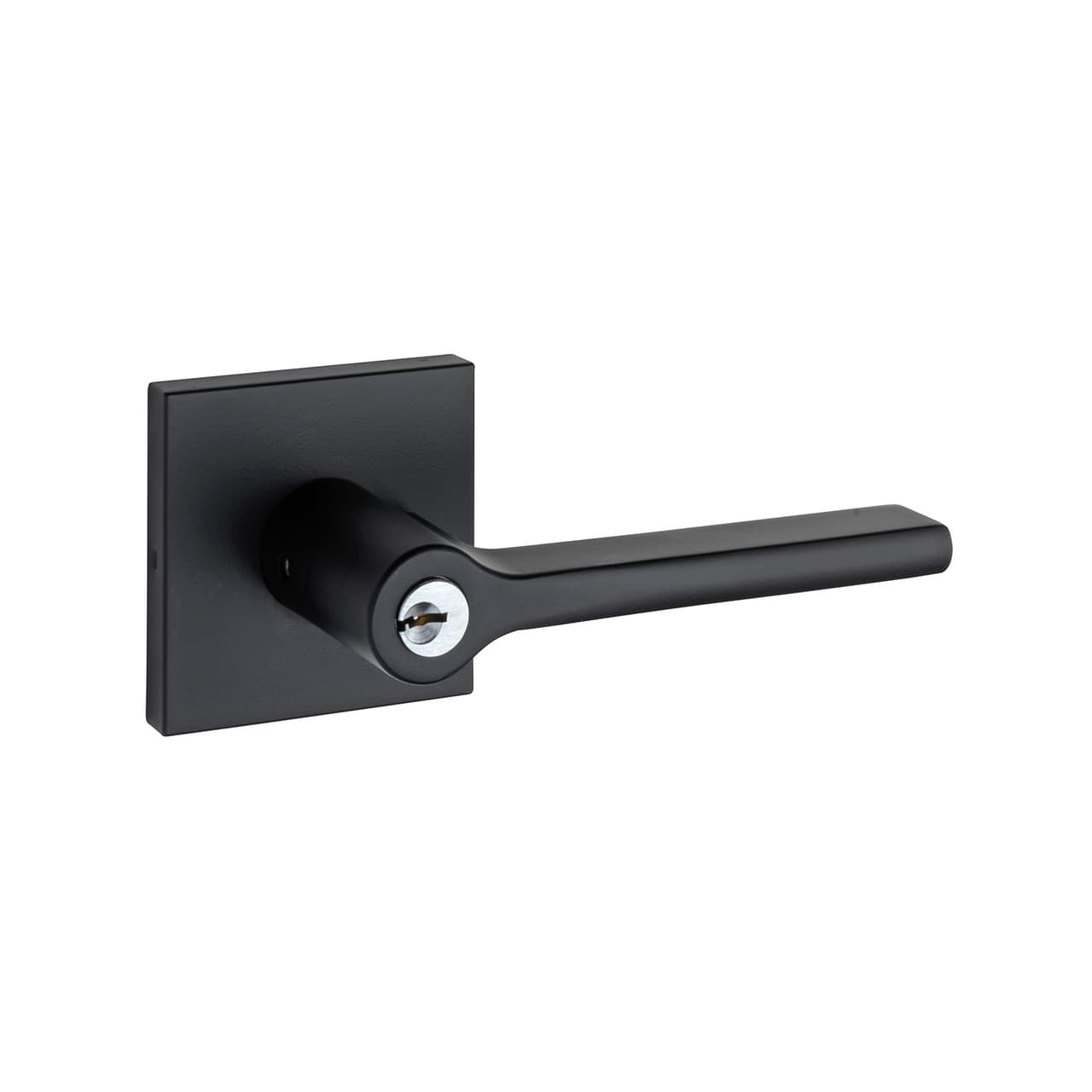 Door handle Pace Line | RD Group Services